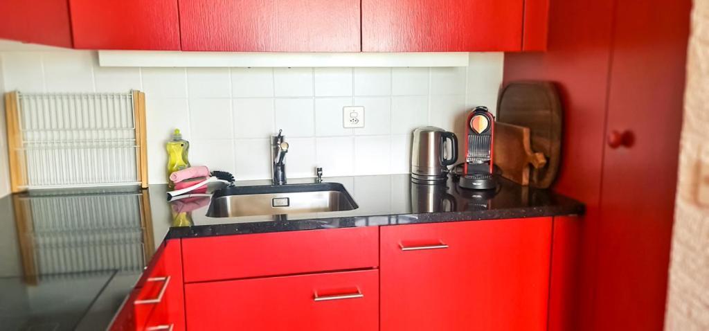 Bussalp Apartment - Aare Jungfrau Ag Grindelwald Zewnętrze zdjęcie