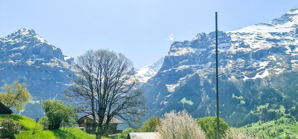 Bussalp Apartment - Aare Jungfrau Ag Grindelwald Zewnętrze zdjęcie