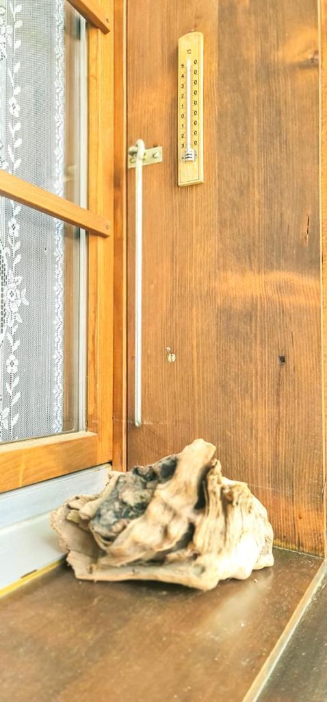 Bussalp Apartment - Aare Jungfrau Ag Grindelwald Zewnętrze zdjęcie
